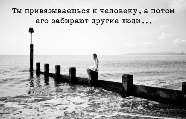 images 4831