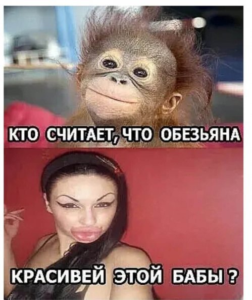 IMG 20250709 075021