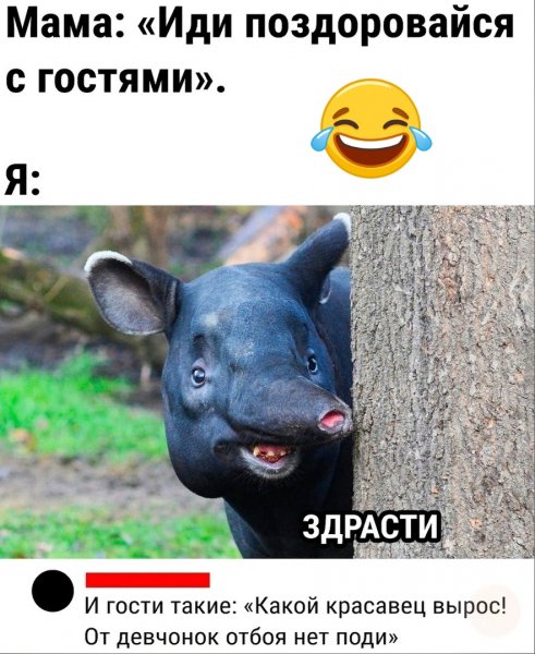 )))