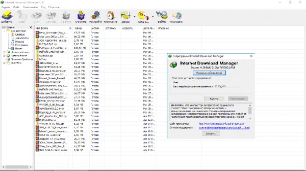 Internet Download Manager 6.38.21 и серийный номер