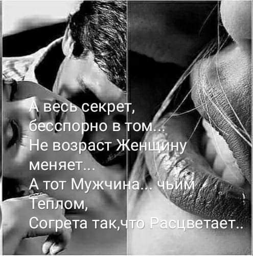 file_81235604