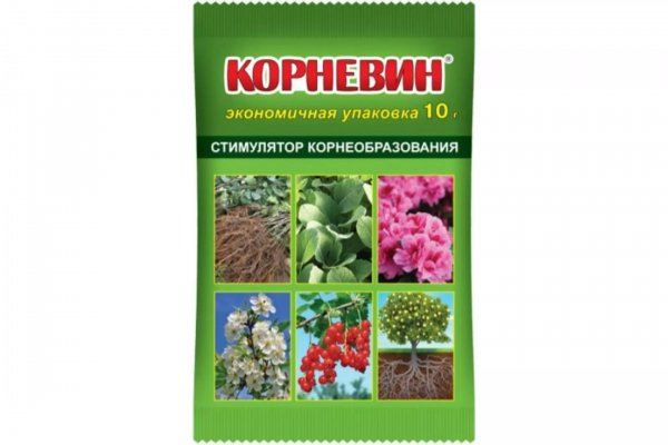Корневин