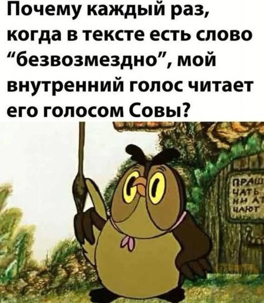 FB IMG 1778525596170