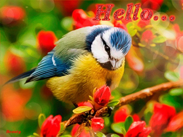file_76470522