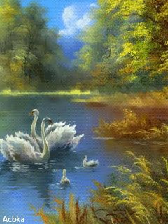 file_59633105