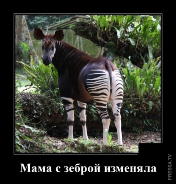 file_77529519