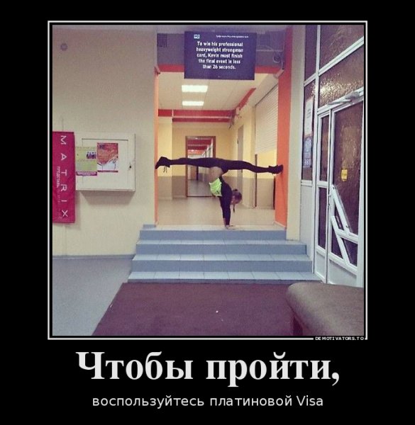 file_64740008