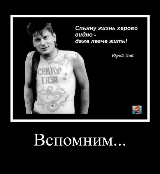 mydem 1321
