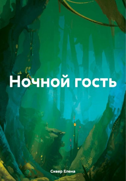 Сивер. Ночной гость