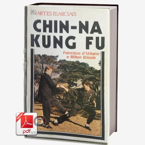 Chin-Na Kung Fu