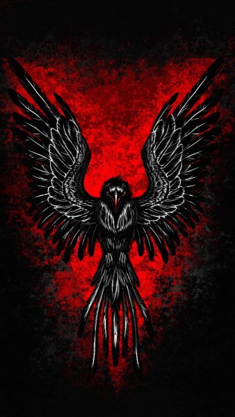 adapted 720x1280