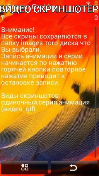 Видео Скриншотер