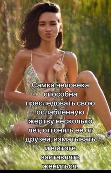file_103257981