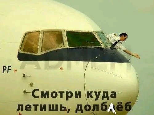 file_103302729