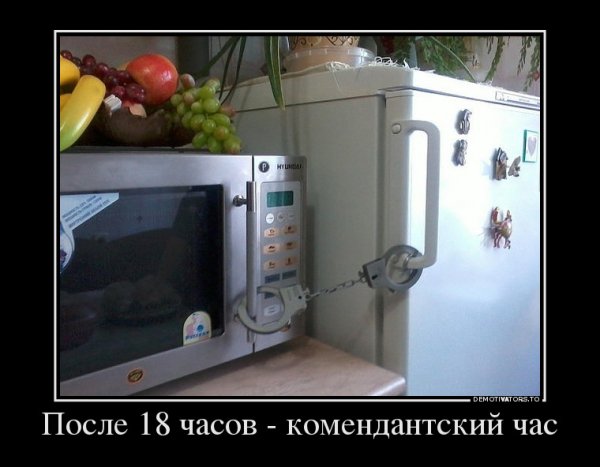 file_68268682