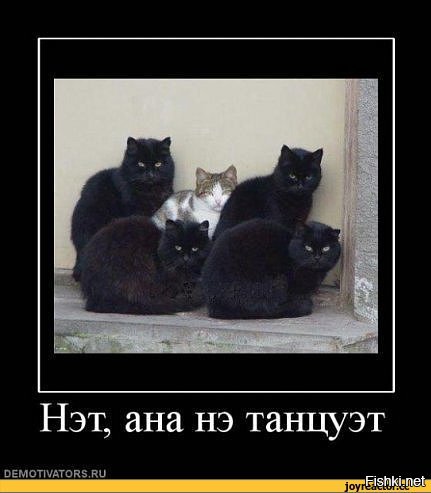 дем