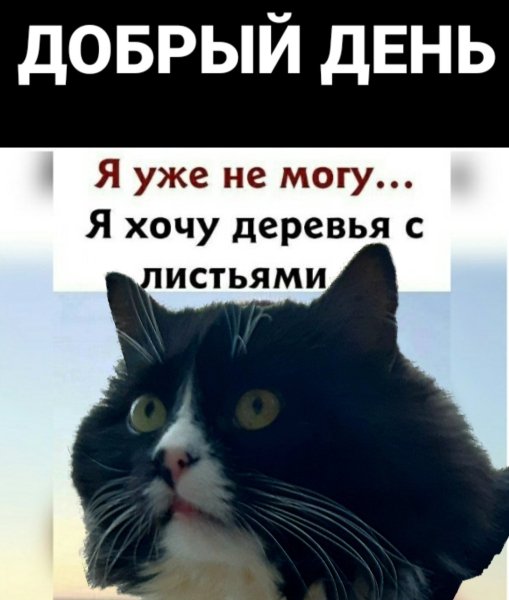 file_89870030