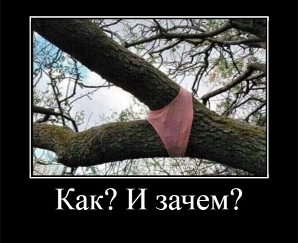 Как? И зачем?