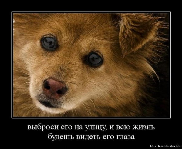 Посмотри в его глаза