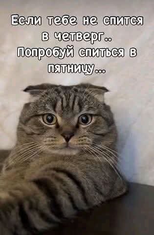 FB IMG 1778146030486