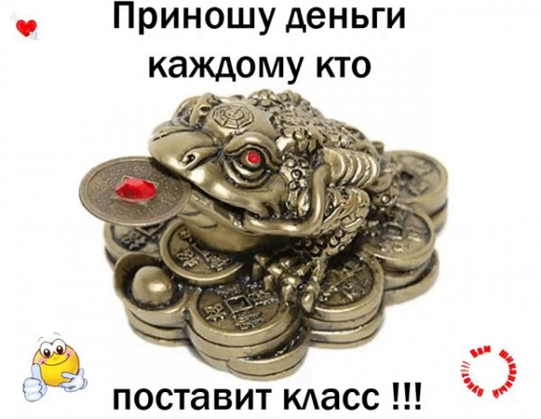 IMG 20181112 194219