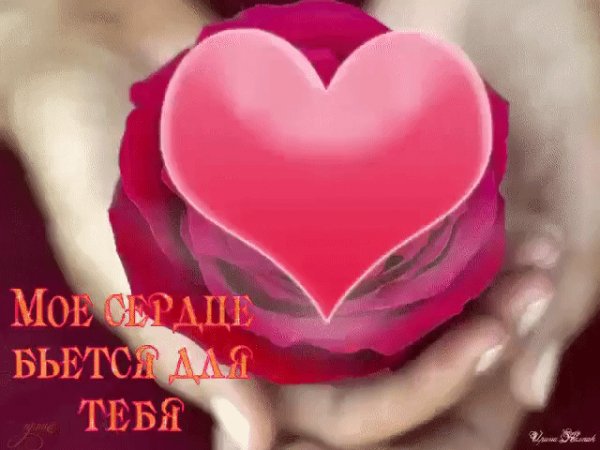 МОЕ СЕРДЦЕ БЬЕТСЯ ДЛЯ ТЕБЯ