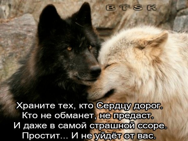 IMG 20241007 055212