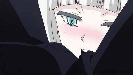 RFyu6
