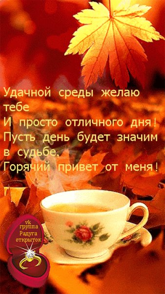 Doc140528985 516126557