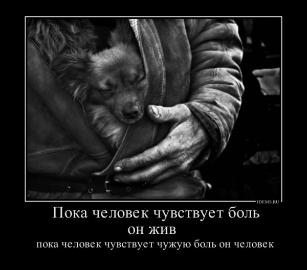 c987dc746ef44c5f5f3cfca5d167e133 800