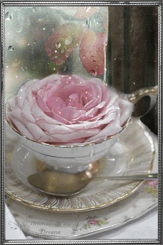 file_58653784