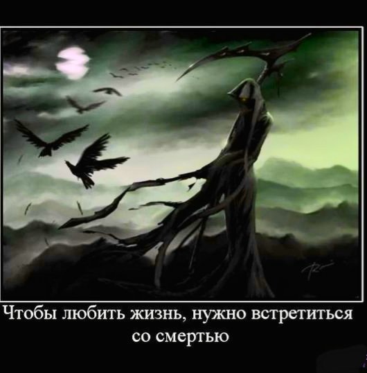 file_101314315
