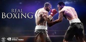 Real Boxing