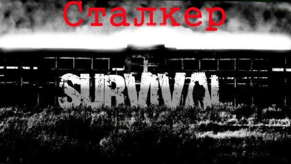 stalker survival