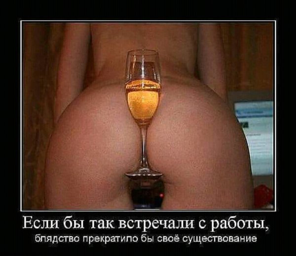 FB IMG 15355243714302006~01