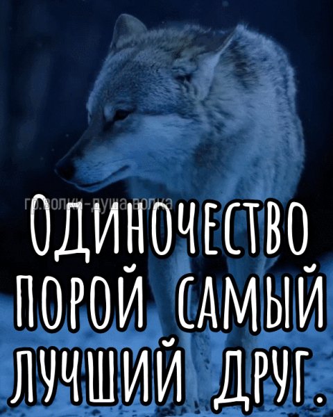 IMG 20241012 205300