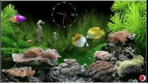 MARINE AQARIUM