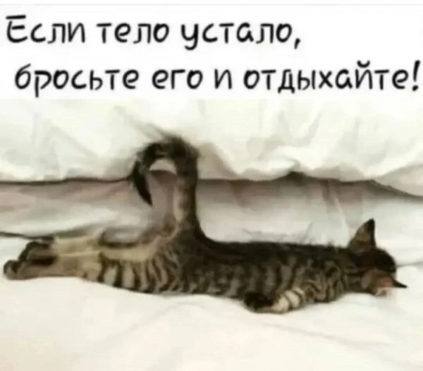 FB IMG 1778184524508