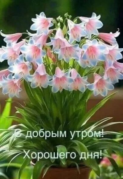 IMG-20260512-WA0002