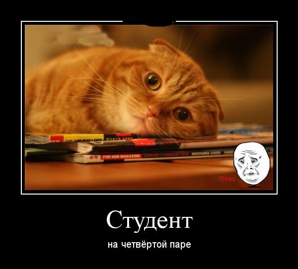 6b1714e5db46c22624a1944719703568 8 9
