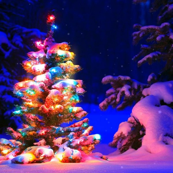 Merry Christmas Tree