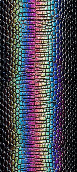 adapted 1080x2408 1772588042