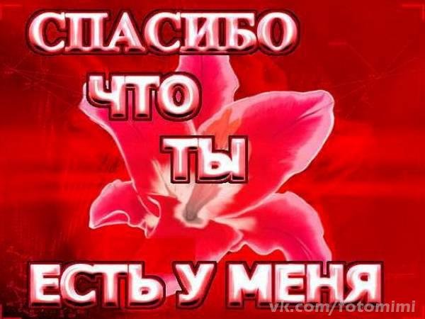 pic747143274