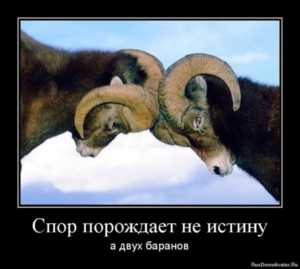 Спор порождает не истину, а двух баранов