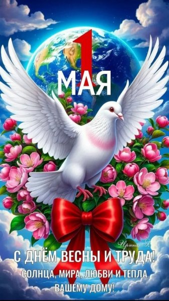 IMG 20260503 000131