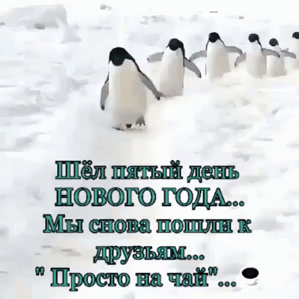 IMG 20230106 164404