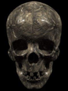 Skull33240x320