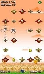 Birds-Fight 360x640