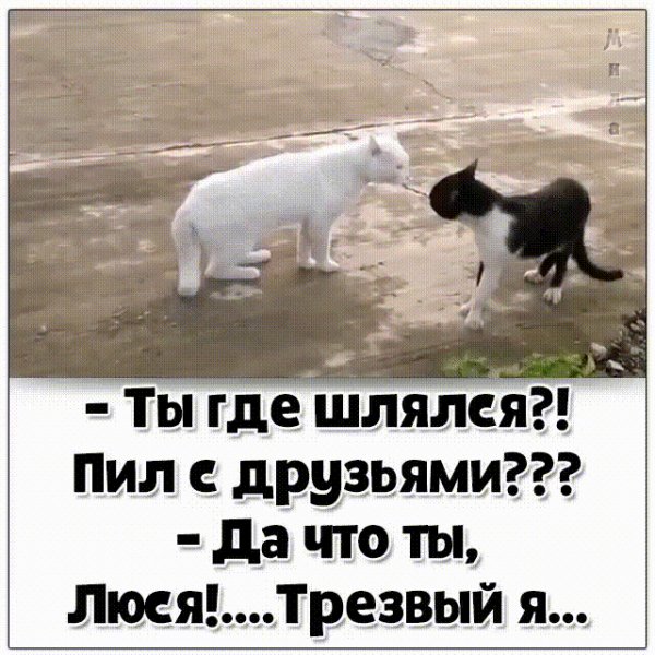 IMG 20230914 030234