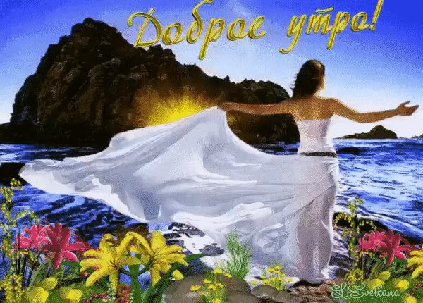 IMG 20220615 114335